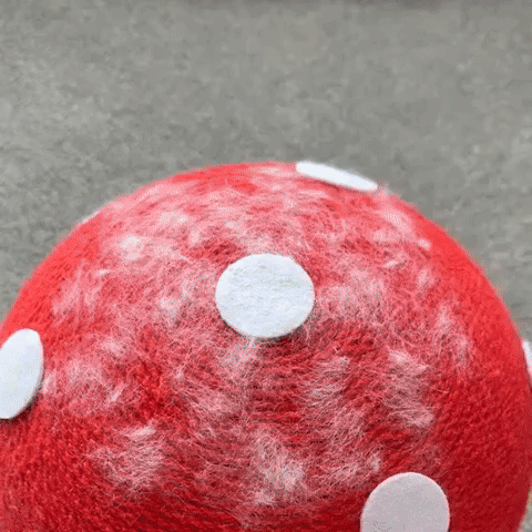 Pet Hair Remover Brush