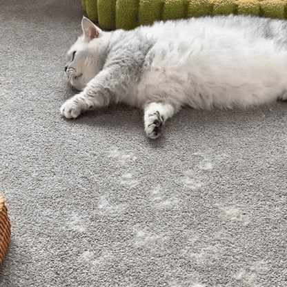 Pet Hair Remover Brush